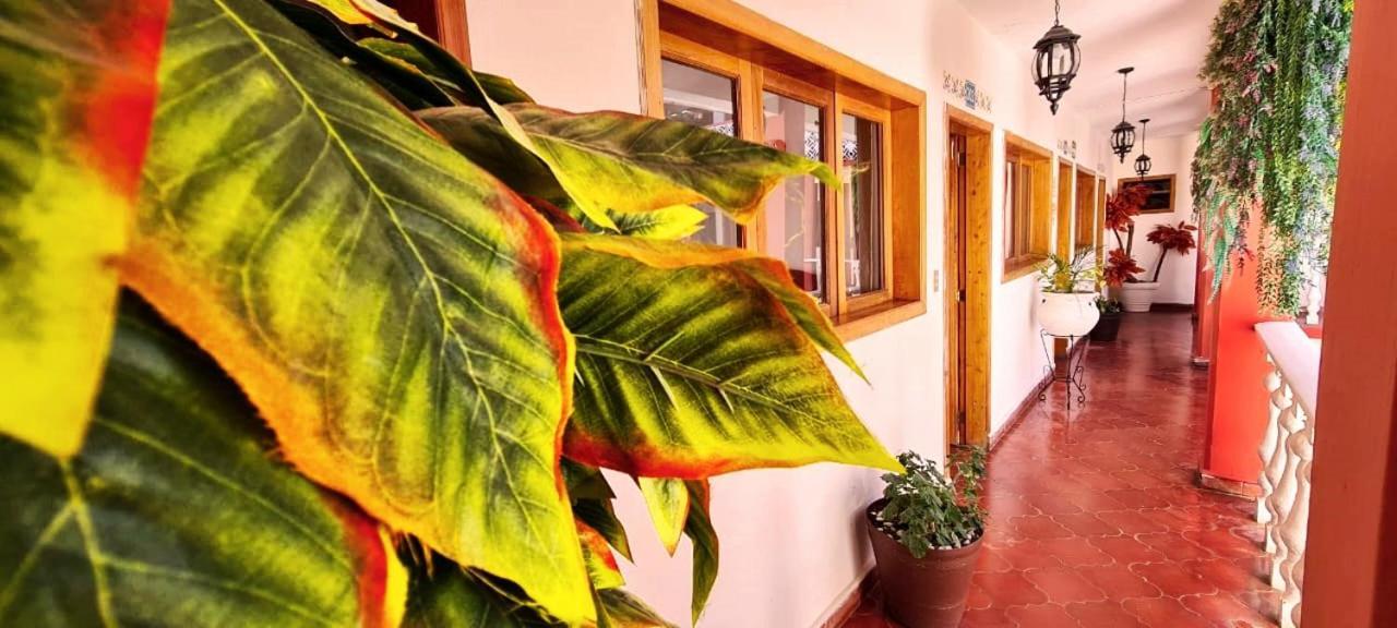 San Cristóbal de Las Casas Hotel De Mariacentro מראה חיצוני תמונה